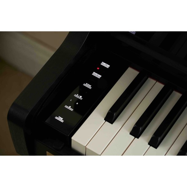 Casio AP-750 BK Smart Hybrid Celviano